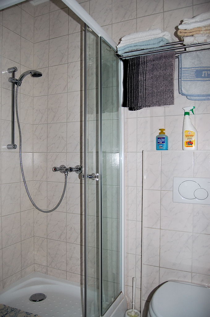 Budapest:  Apartman - zuhanyzó